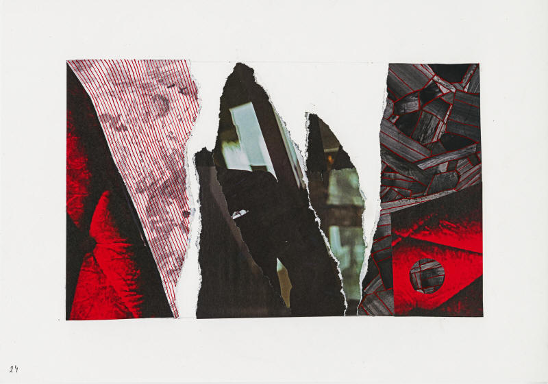 Collage #24